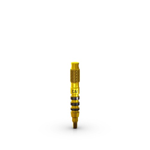 001bcb146fff5bc7fa6d5600057ecca5
