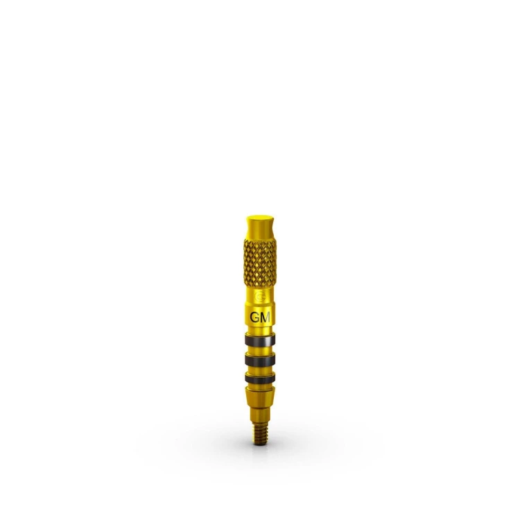 001bcb146fff5bc7fa6d5600057ecca5